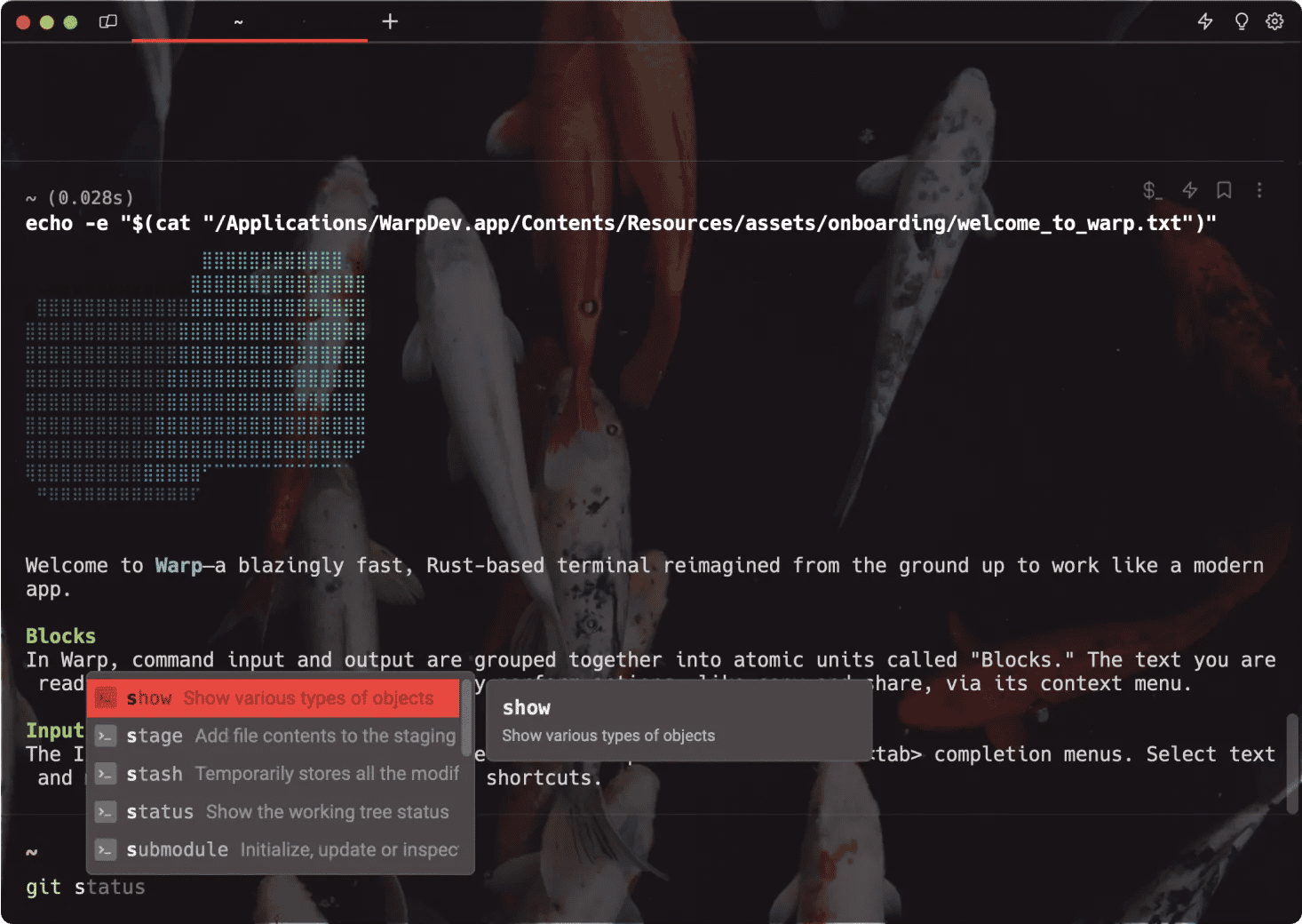 A computer screen displaying a code editor with a command to open a file and a pop-up suggestion for file paths. The background shows an image of koi fish.